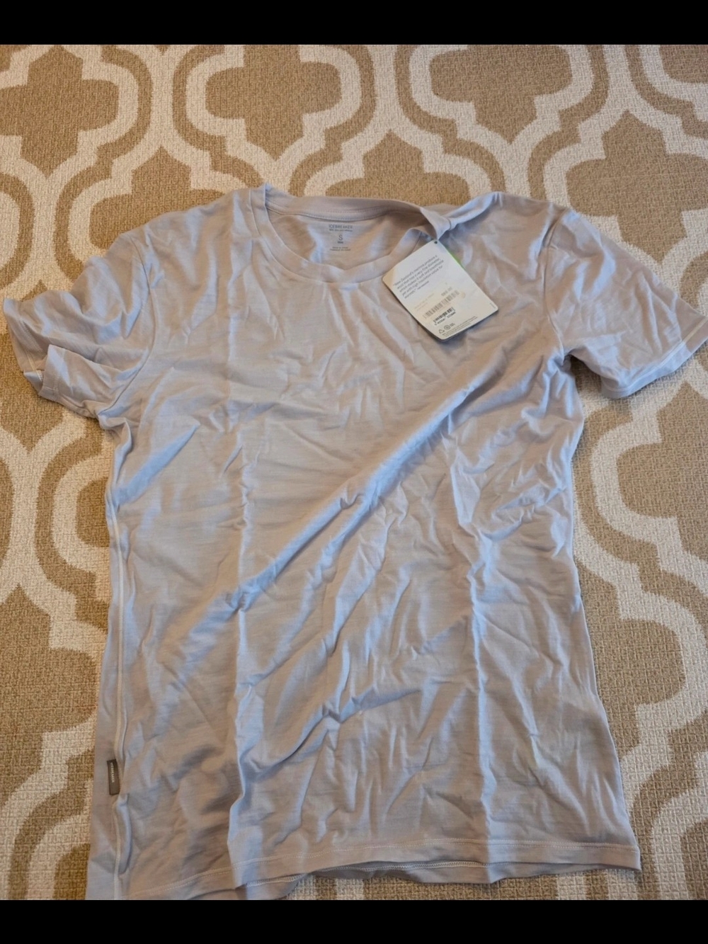 Icebreaker Men’s Crew Tee in Light Grey